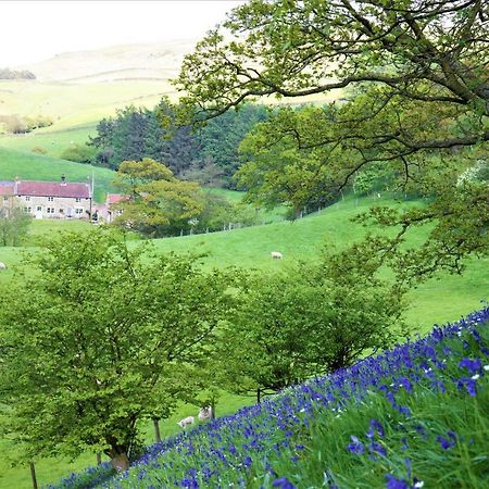 Bluebells Cottage Chop Gate Exterior photo