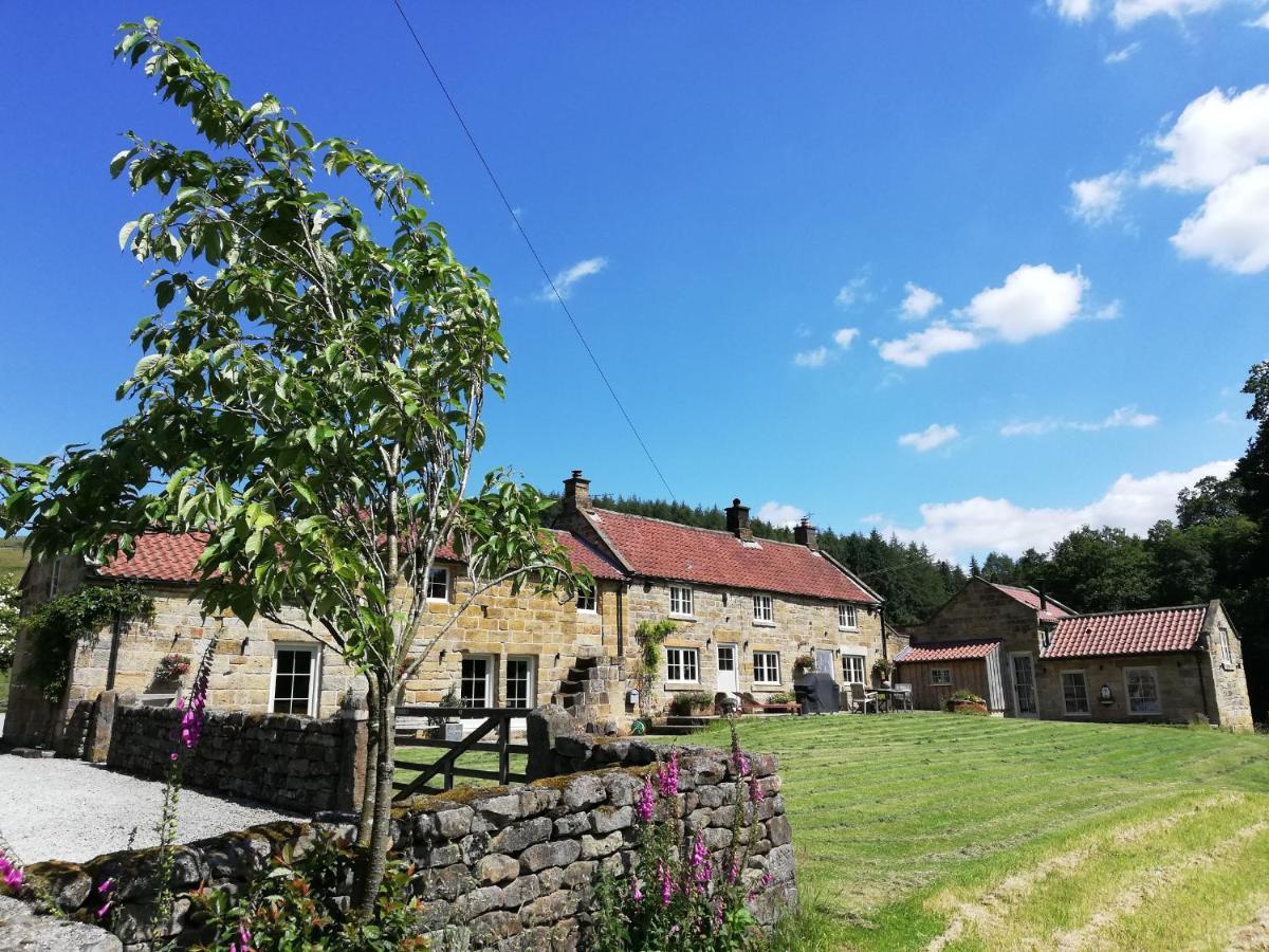 Bluebells Cottage Chop Gate Exterior photo