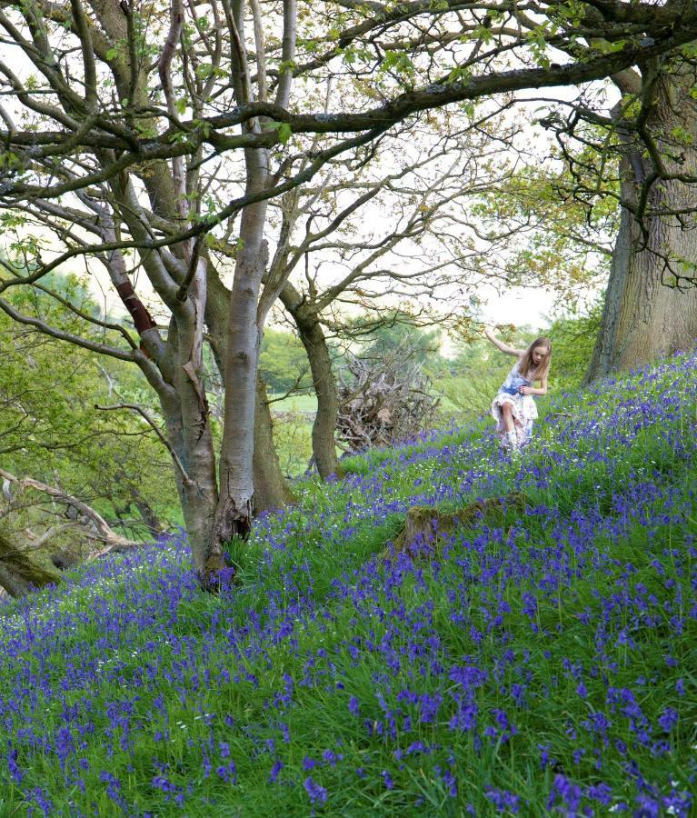 Bluebells Cottage Chop Gate Exterior photo